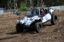 Thumbs/tn_Beautiful Budel 2018 036.jpg